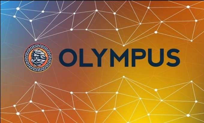 fork olympus dao, wonderland dao on various network