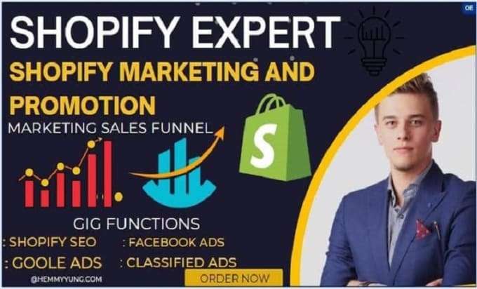 I will build your shopify store, redesign your store and shopify promotion to boost sales.