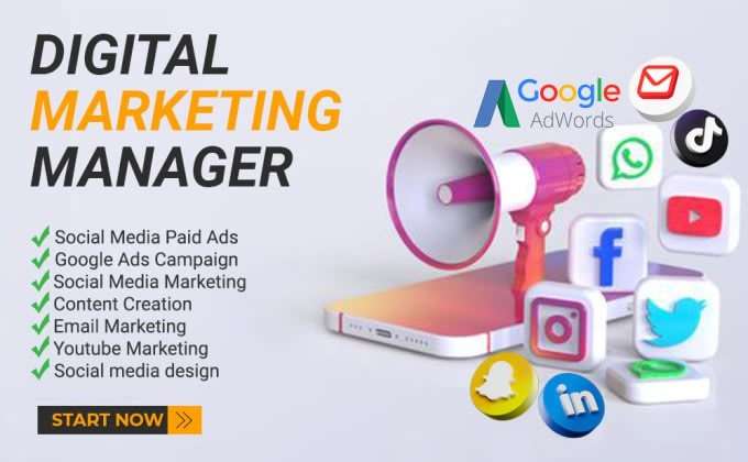 I will provide you as a Digital marketer, Social media account manager, Content Writer, Word press Developer