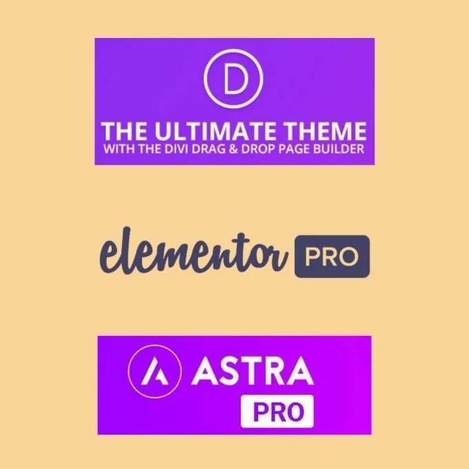 I will install Divi theme, Elementor Pro, Astra Pro with license