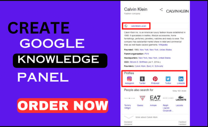 I will create verified google knowledge panel for personal or company