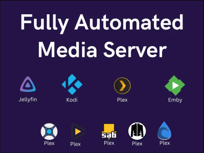 I will install or configure  plex media server, jellyfin, Emby, on your  media server