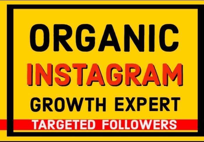 I will do Do super fast organic Instagram growth and boost followers