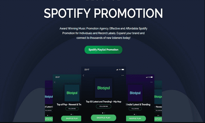 I will perfectly do organic Spotify music promotion