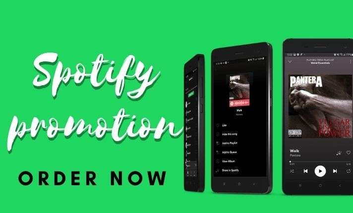 I will do Spotify music promotion marketing traffic