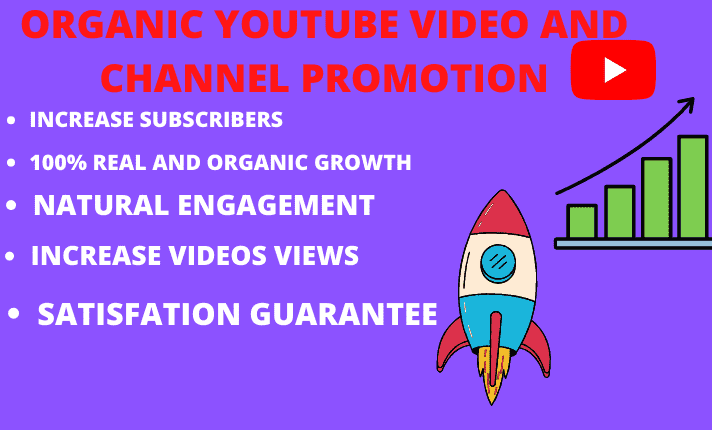 I will do best organic YouTube channel video promotion