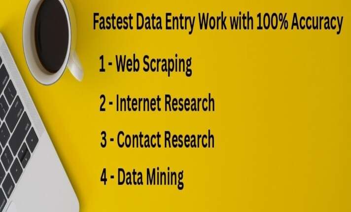 I will do fastest data entry in one day and internet research web scraping, typing,
