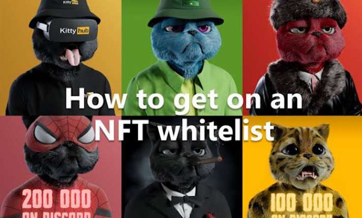 Nft discord whitelist discord leveling