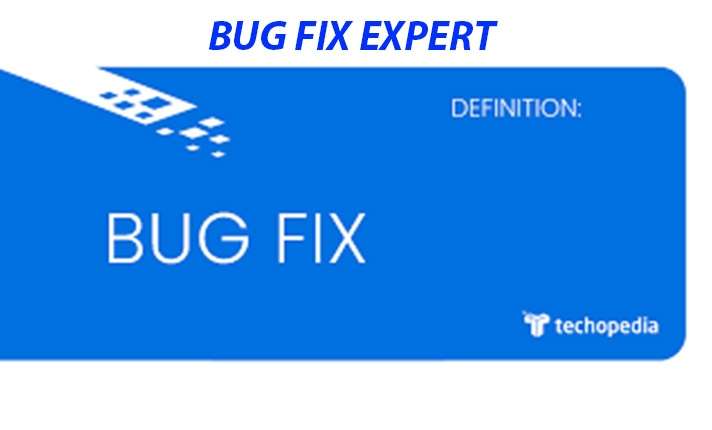 I will fix website bug or issue