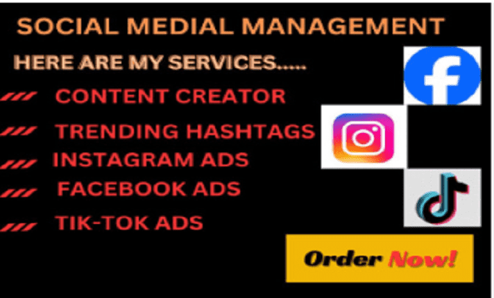 I will expertly manage your social media and content creator