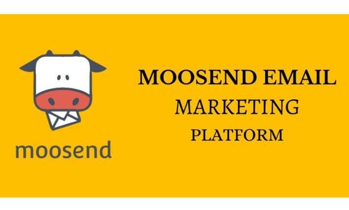 I will Elevate Your Email Marketing with Moosend Expert