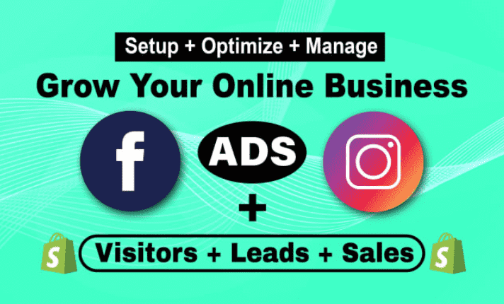 I will be your shopify facebook ads, instagram ads campaign, marketing, manager