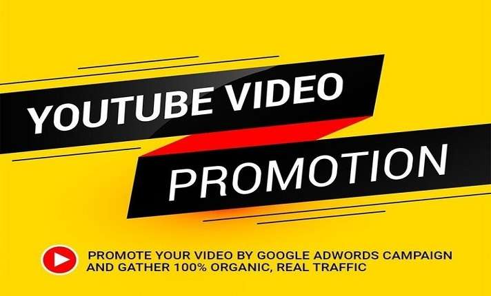 I will be your youtube channel manager and video SEO expert