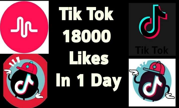 I will grow your tiktok organically with real followers