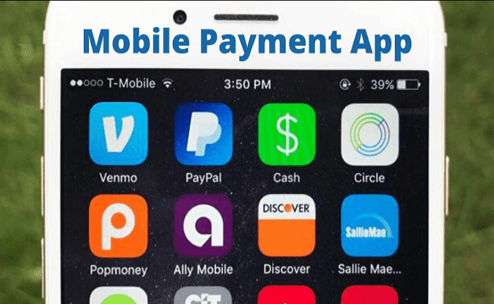 I will build banking app, payment app, loan app, money transfer app, crypto wallet app