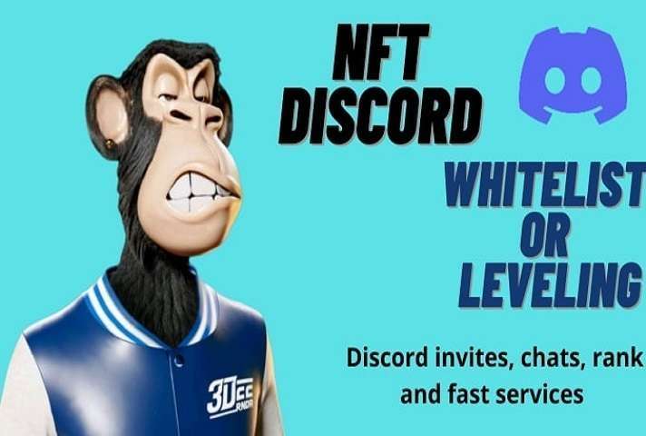 I will do Nft discord whitelist, leveling, invites and chats
