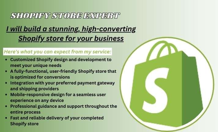 I will build a stunning, high-converting Shopify store for your business