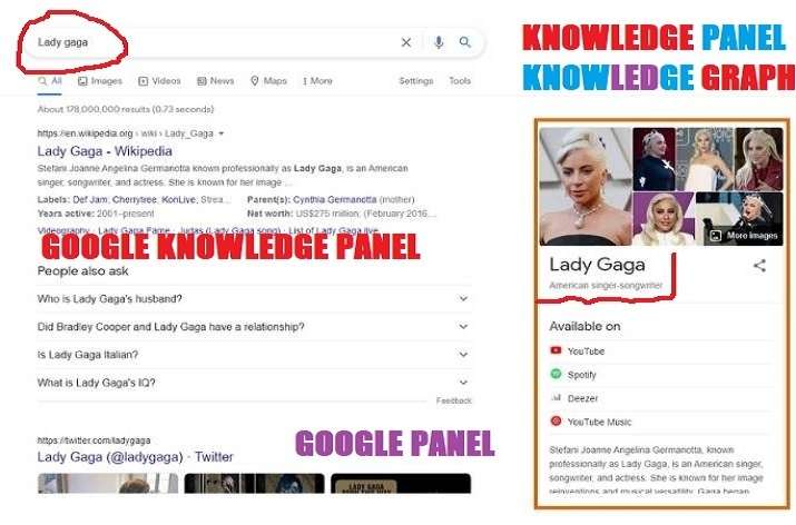 I will create an approved google knowledge panel for individual and business