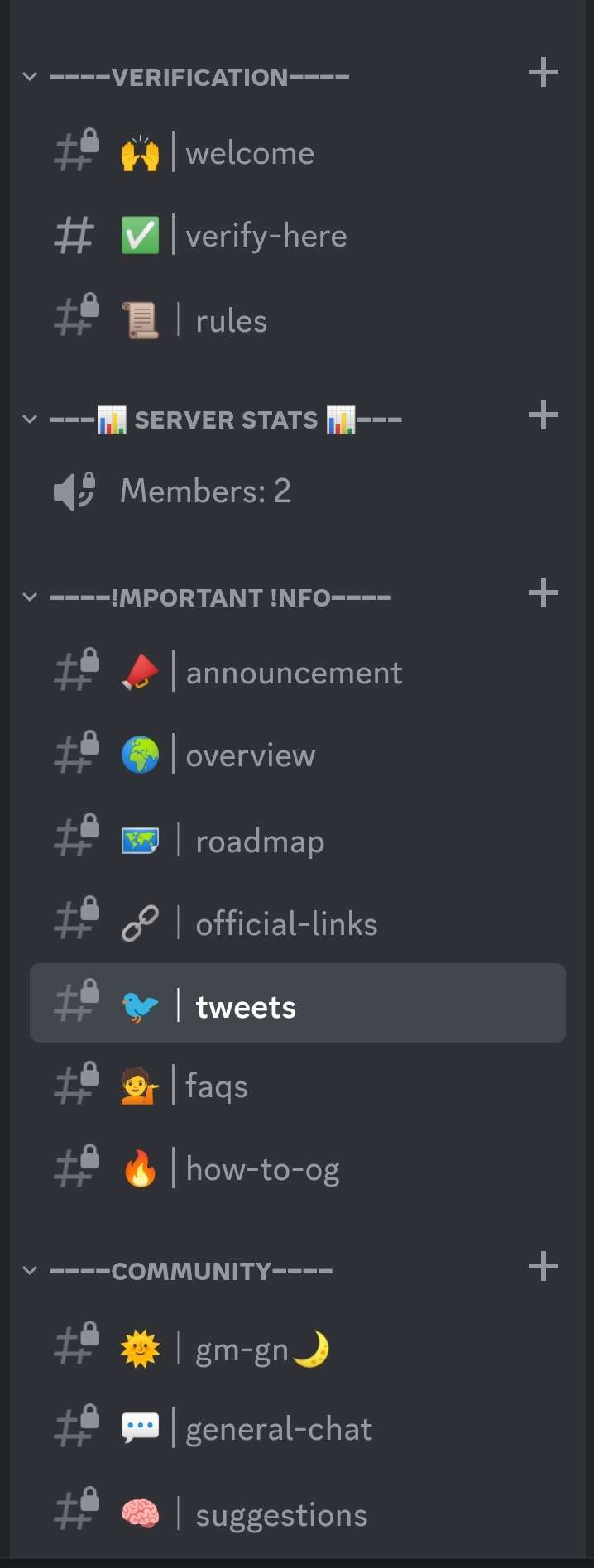 I can build you a professional discord for any project or community