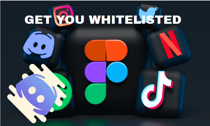 I will grind in your discord server and get you whitelisted