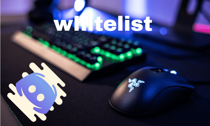 I will discord hype, discord chat, discord server