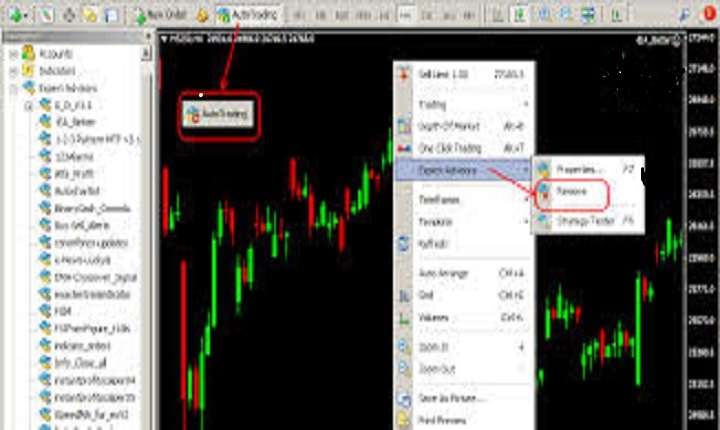 I will create forex ea bot mt4 ea bot forex expert advisor mt5 bot forex indicator