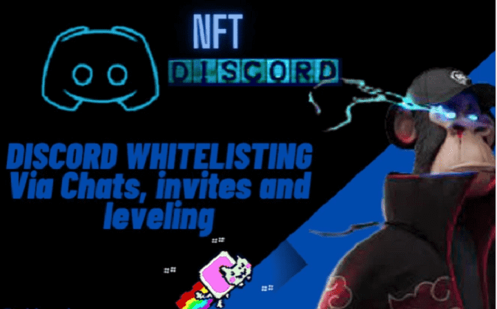 i will get you whitelisted on discord