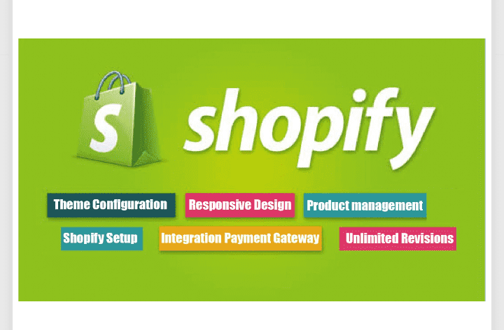 will build you an automated dropshipping shopify store or website