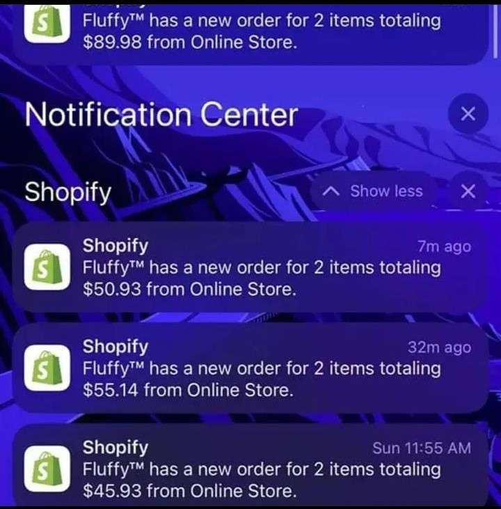 I will promote sales funnel, shopify marketing, or sales funnel to boost shopify sales