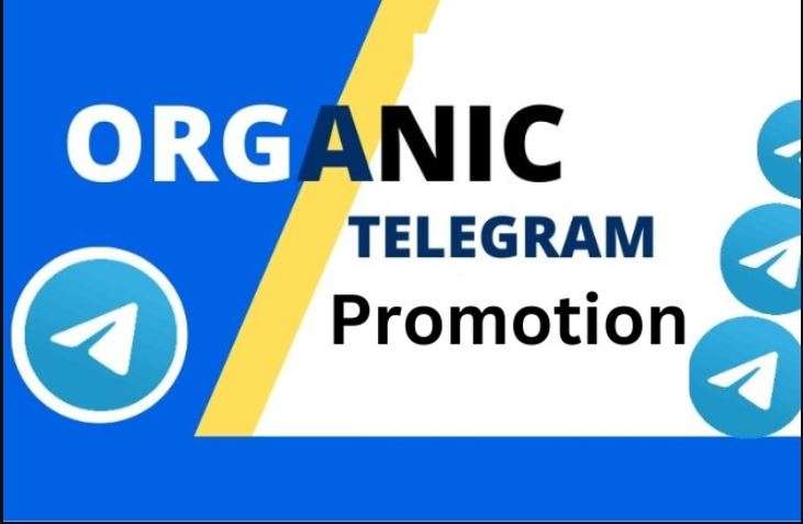 I will promote telegram group, channel to real and active audience, mass dm