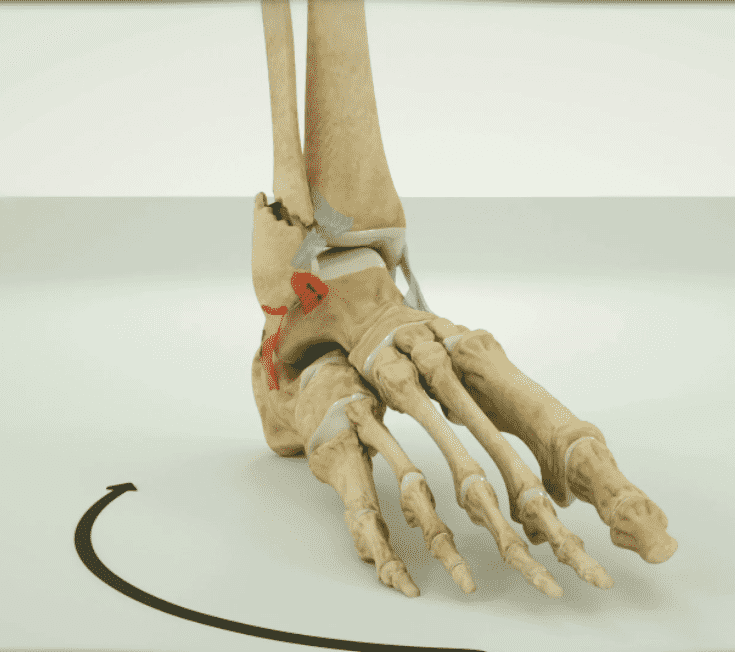 I will create 3d Medical Animation and 3d Modeling