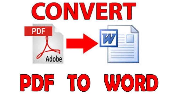 I Will Provide Pdf to word any files