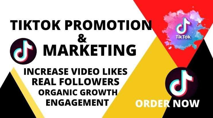I will grow and promote tiktok organically your tiktok account