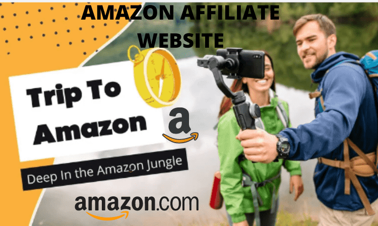 I will create and setup a professional amazon affiliate website for your products