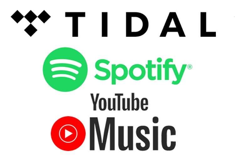 I will do viral tidal music promotion, tidal music promotion
