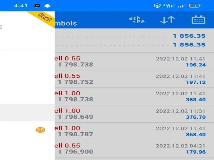 I will install and set up already made PROFITABLE forex trading bot, forex ea, mt4 ea, trading bot, forex bot for you