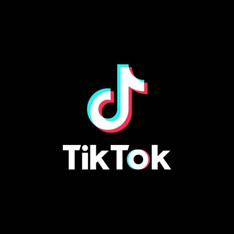 I will do TikTok promotion, TikTok video, TikTok promotion