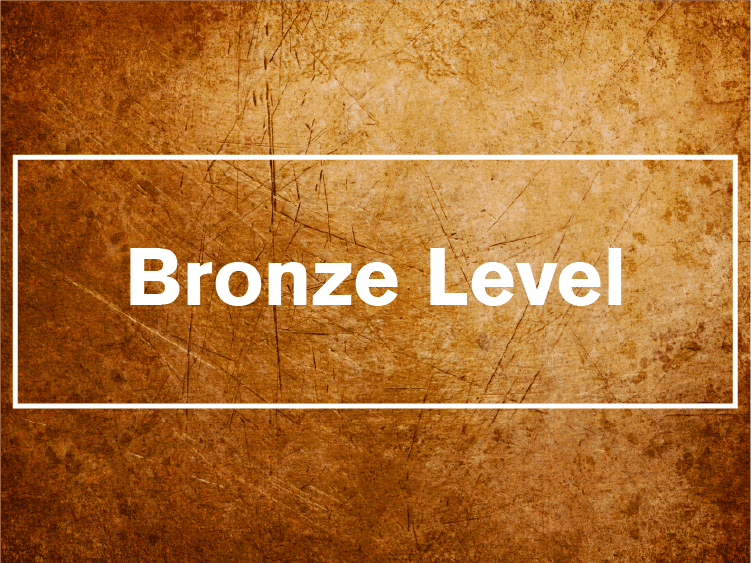 Logo Design • Bronze Level