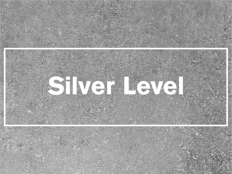 Logo Design • Silver Level