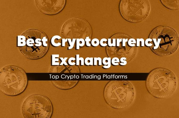 I am a professional  cryptocurrency exchange website for you