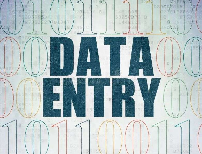 I will provide data entry service.