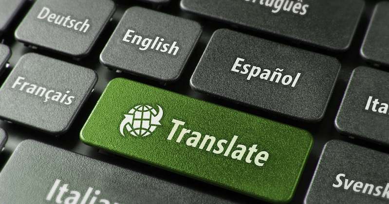 i will translat your project