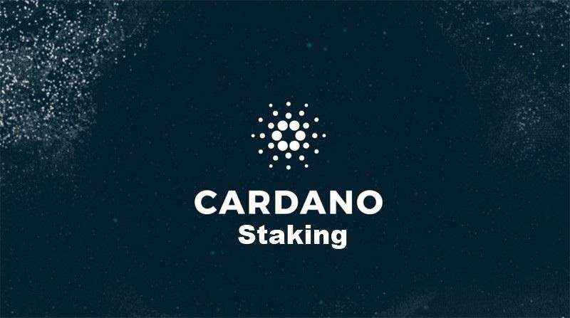 develop cardano staking website, nft staking website