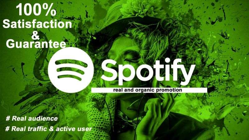 I will do organic Spotify Music Promotion for your tracks to Worldwide audience