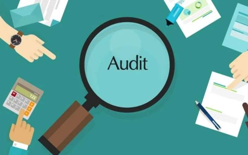 I want Audit your Project