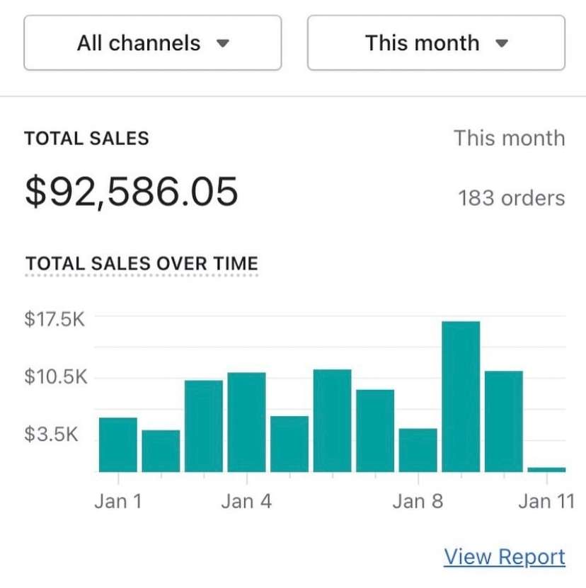I will build complete shopify store and revamp shopify dropshipping store