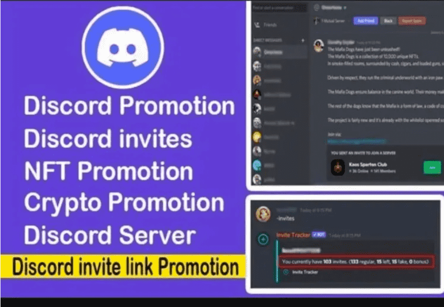 organic nft discord server promotion to gain real members