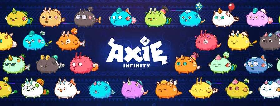 LOOKING FOR AXIE INFINITY MANAGER