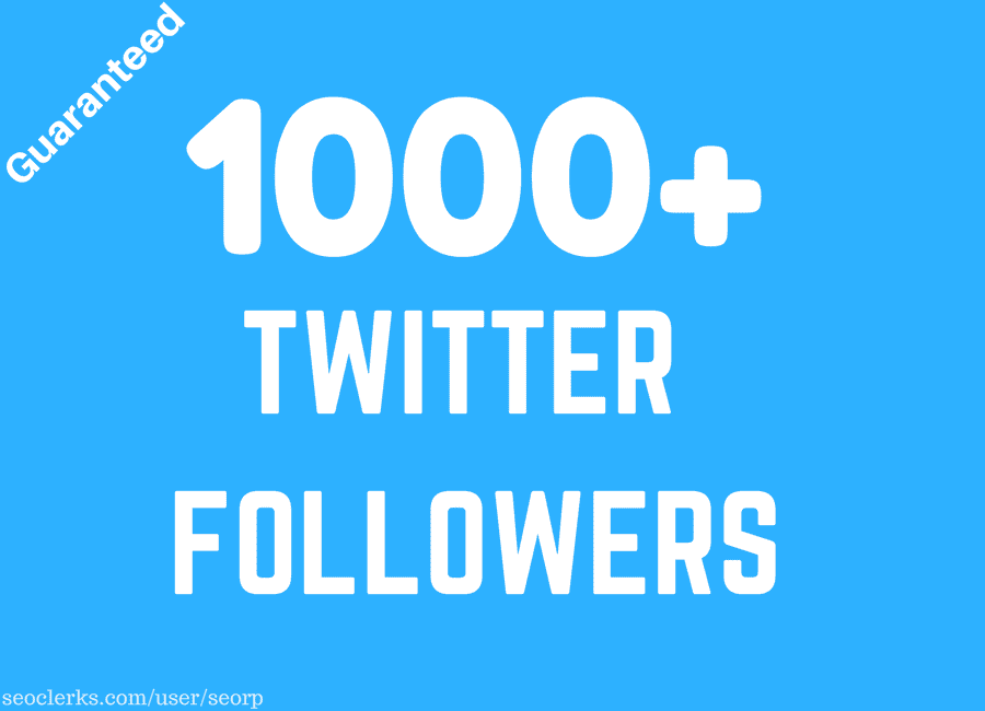 provide you 1000 twitter followers fast