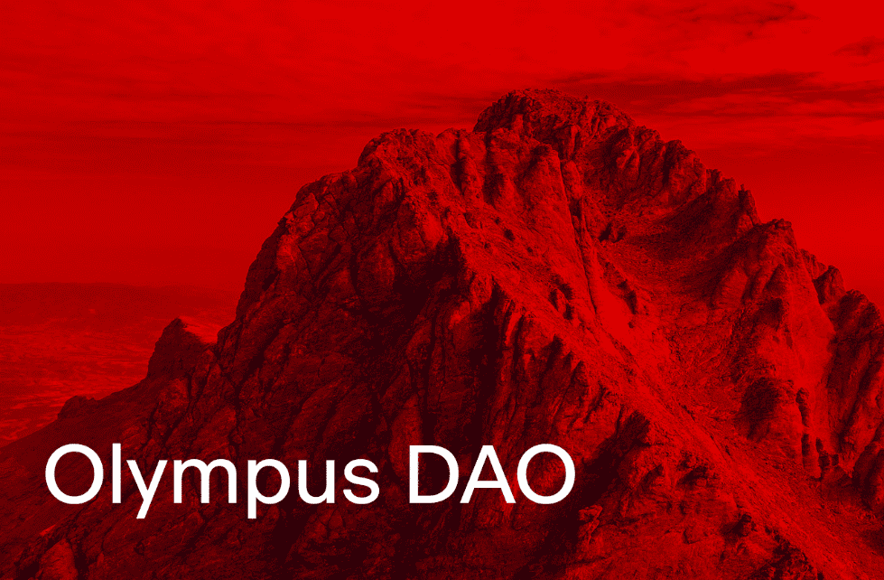 fork olympus dao, ohm on bsc, eth and other network